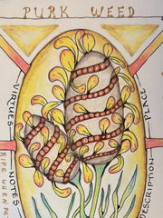 Load image into Gallery viewer, MAC School - Art Bites - Botanical Zentangle: Part 2 with Rita Blom -April 12th 2026 - 10am-12 - - Class - McMillan Arts Centre & MAC Box Office