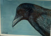 Wendy Schmidt - Card - "Spying Raven"