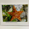Ponderosa Designs - Card - Leather Star