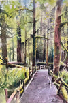 Peggy Burkosky - Card - MacMillan Provincial Park (Cathedral Grove)