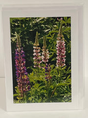 Load image into Gallery viewer, Jane Davidson - Card - Delphiniums