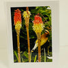 Jane Davidson - Card - Red Hot Pokers with Cedar Waxwing
