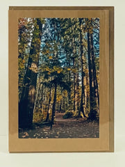 Load image into Gallery viewer, Jane Davidson - Card - Pathway Through the Forest