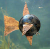 Nelson Shaw - Metal Art - Fish