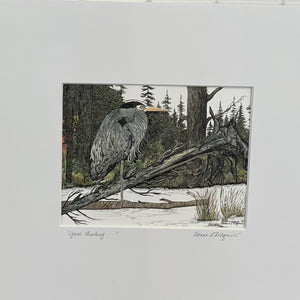 Donna D'Aquino - Art Print - Heron - "Just Thinking" 16" x 20" matted