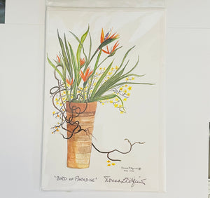Donna D'Aquino - Card - "Bird of Paradise" - oversized 6" x 9"