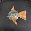 Nelson Shaw - Metal Art - Fish