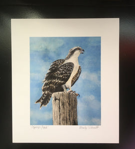 Wendy Schmidt - Print - "Osprey's Perch" 14" x 12"
