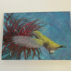 Wendy Schmidt - Card - "Red Visitor" Hummingbird