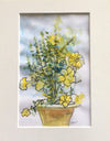 Fran Renwick - Watercolour painting - Potted plant, matted, unframed