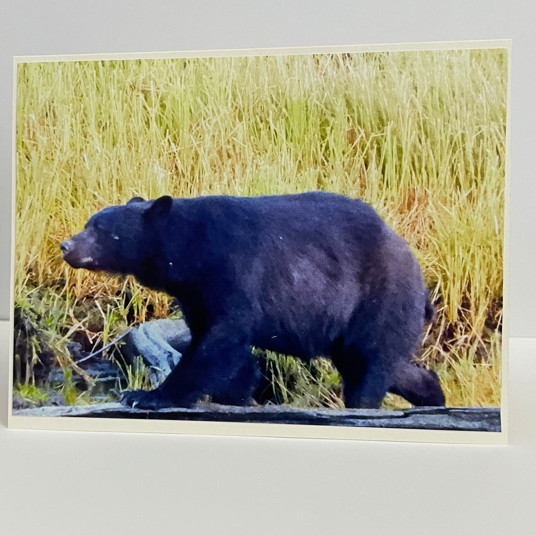 Nancy Butler - Card -Photo of black bear walking left - Nancy Butler - McMillan Arts Centre Gallery, Gift Shop and Box Office - Vancouver Island Art Gallery