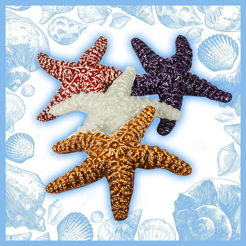 Cathy Hutcheson - Pottery - Starfish, 5.5 inches - Cathy Hutcheson - McMillan Arts Centre Gallery, Gift Shop and Box Office - Vancouver Island Art Gallery