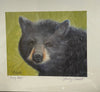 Wendy Schmidt - Print - "Young Bear"  14" x 12"