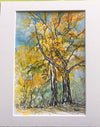Fran Renwick - Watercolour Painting -  Yellow Trees, matted, unframed