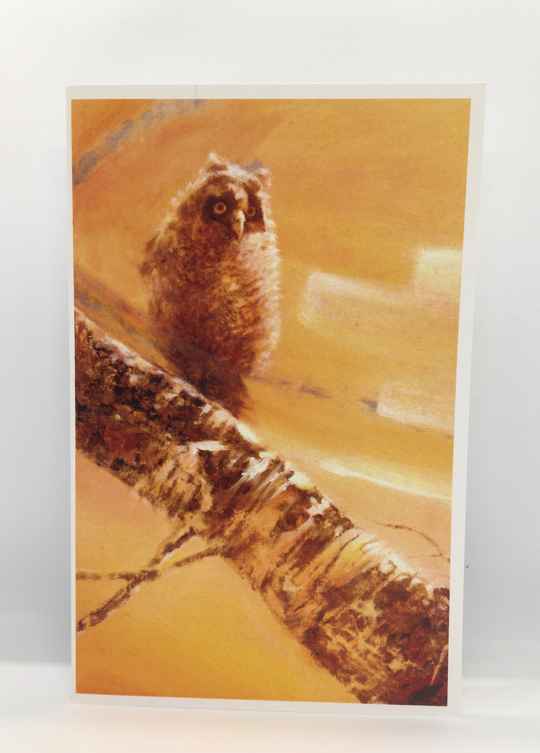 Ice Bear - Card - Owl - MAC-Donation - McMillan Arts Centre Gallery, Gift Shop and Box Office - Vancouver Island Art Gallery
