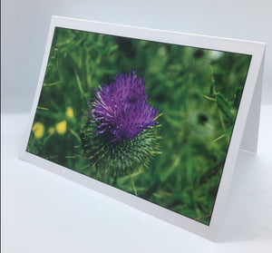 William Allen - Card - Purple Thistle - William Allen - McMillan Arts Centre Gallery, Gift Shop and Box Office - Vancouver Island Art Gallery