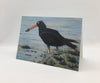 Wendy Schmidt - Card - "The Oyster Catcher"