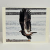 Nancy Butler - Card - Photo of Golden Eagle about to take flight