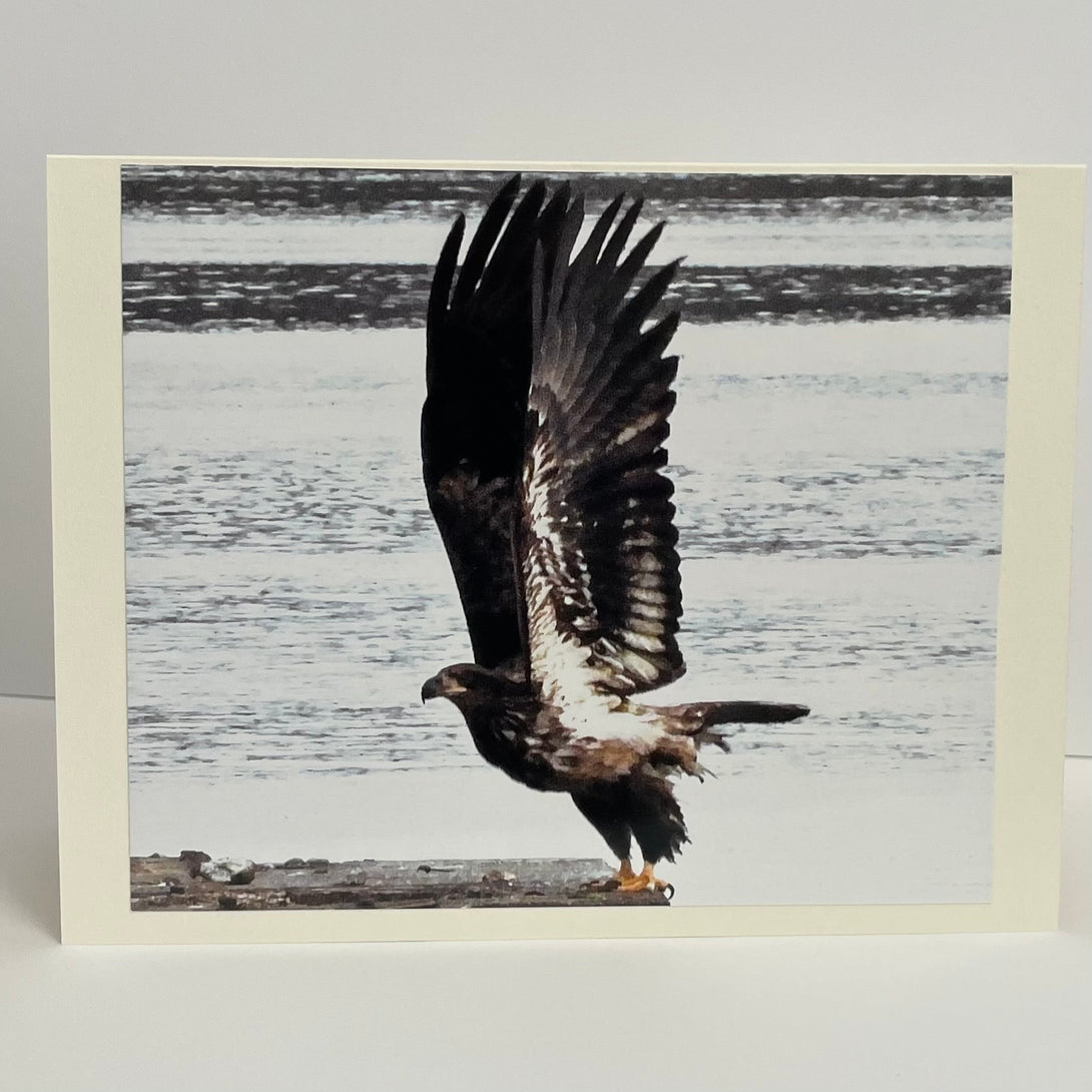 Nancy Butler - Card - Photo of Golden Eagle about to take flight - Nancy Butler - McMillan Arts Centre Gallery, Gift Shop and Box Office - Vancouver Island Art Gallery