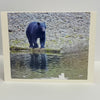 Nancy Butler - Card - Photo of black bear reflected in water