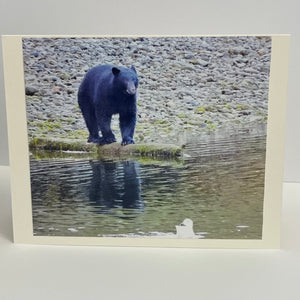Nancy Butler - Card - Photo of black bear reflected in water - Nancy Butler - McMillan Arts Centre Gallery, Gift Shop and Box Office - Vancouver Island Art Gallery
