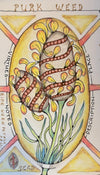 MAC School - Art Bites - Botanical Zentangle: Part 2 with Rita Blom -April 12th 2026 - 10am-12pm