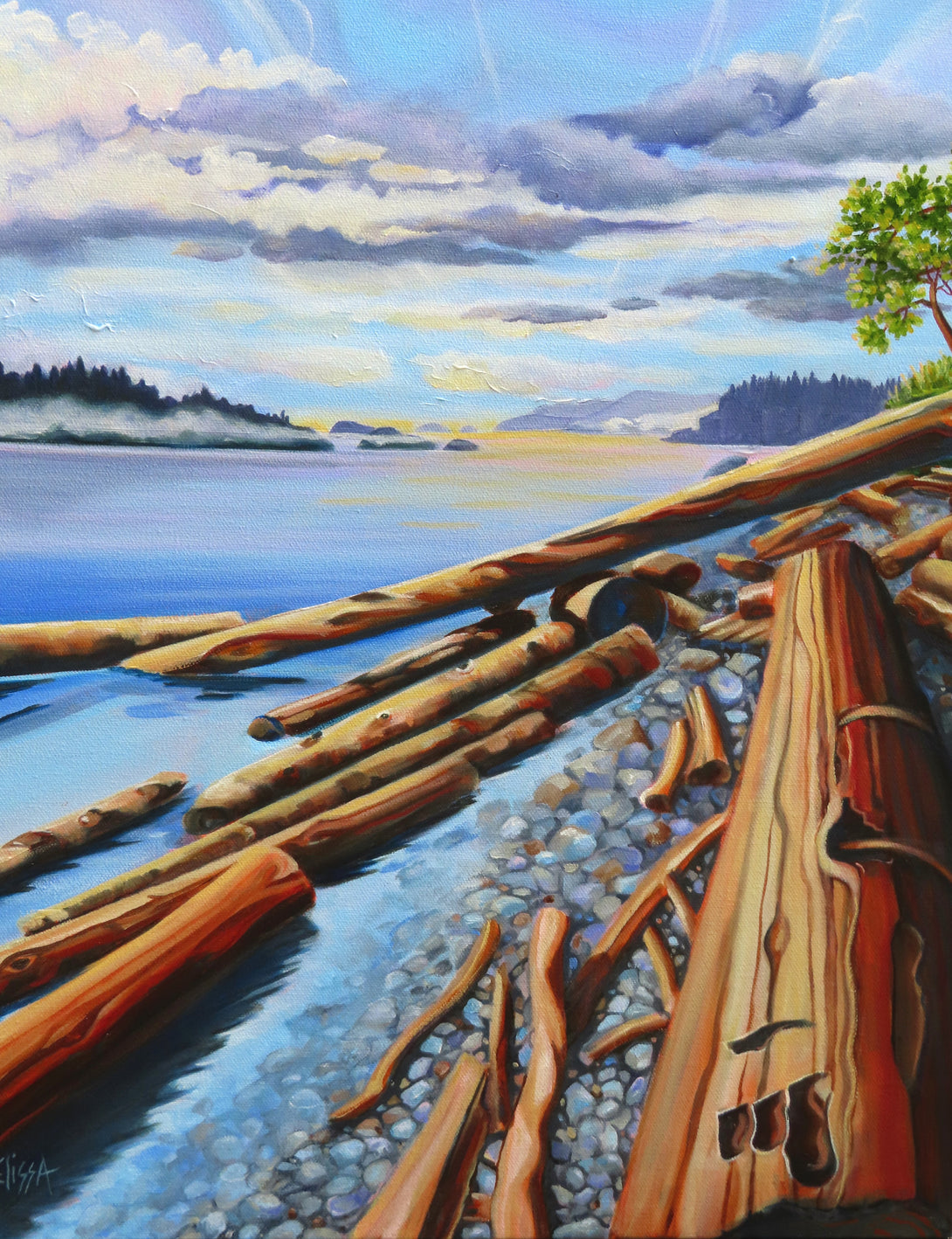 MAC School - Art Gems -Driftwood (Oil Painting) with Elissa Anthony - April 11th 2026 -10am-2pm
