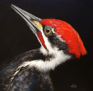 MAC School-Art Bites-Soft Pastels-1PM Sun Nov 26, 2023 by McMillan Arts Centre - McMillan Arts Centre - Vancouver Island Art Gallery