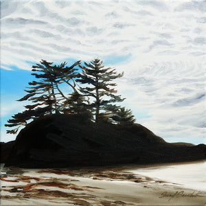 Dramatic Skies Study, by Sheryl Sawchuk by Sheryl Sawchuk - McMillan Arts Centre - Vancouver Island Art Gallery