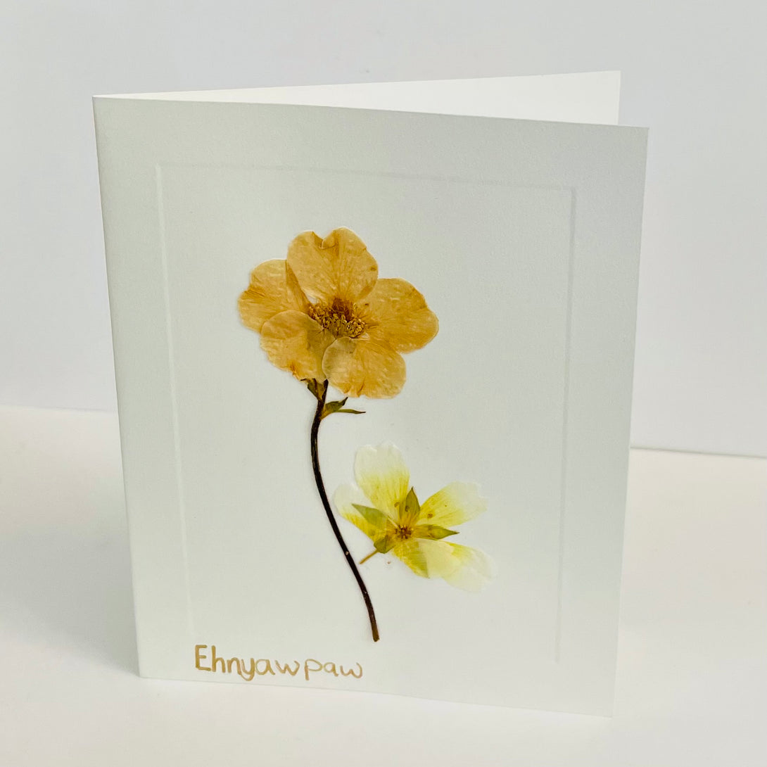 Ehnyawpaw - Card -  Peach & Yellow flower - Ehnyawpaw Johdee - Card - McMillan Arts Centre & MAC Box Office