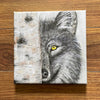 Wendy Schmidt - Print - Wolf Eye - 8" x 8" wrapped canvas