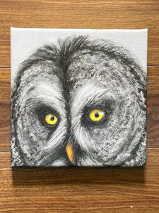 Wendy Schmidt - Print- Great Grey Owl - 8" x 8" wrapped canvas - Wendy Schmidt - Giclee - McMillan Arts Centre & MAC Box Office