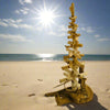 Drift Roots - Driftwood Tree - 8"