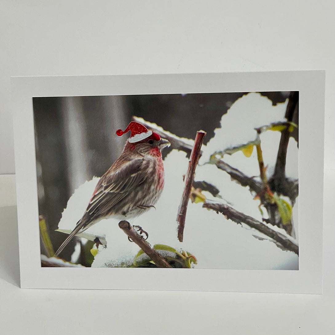 Jane Davidson - Christmas Card - Christmas Bird