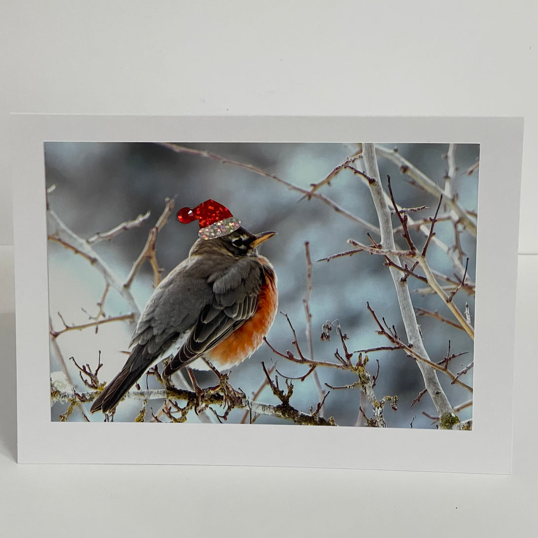 Jane Davidson - Christmas Card - Christmas Robin