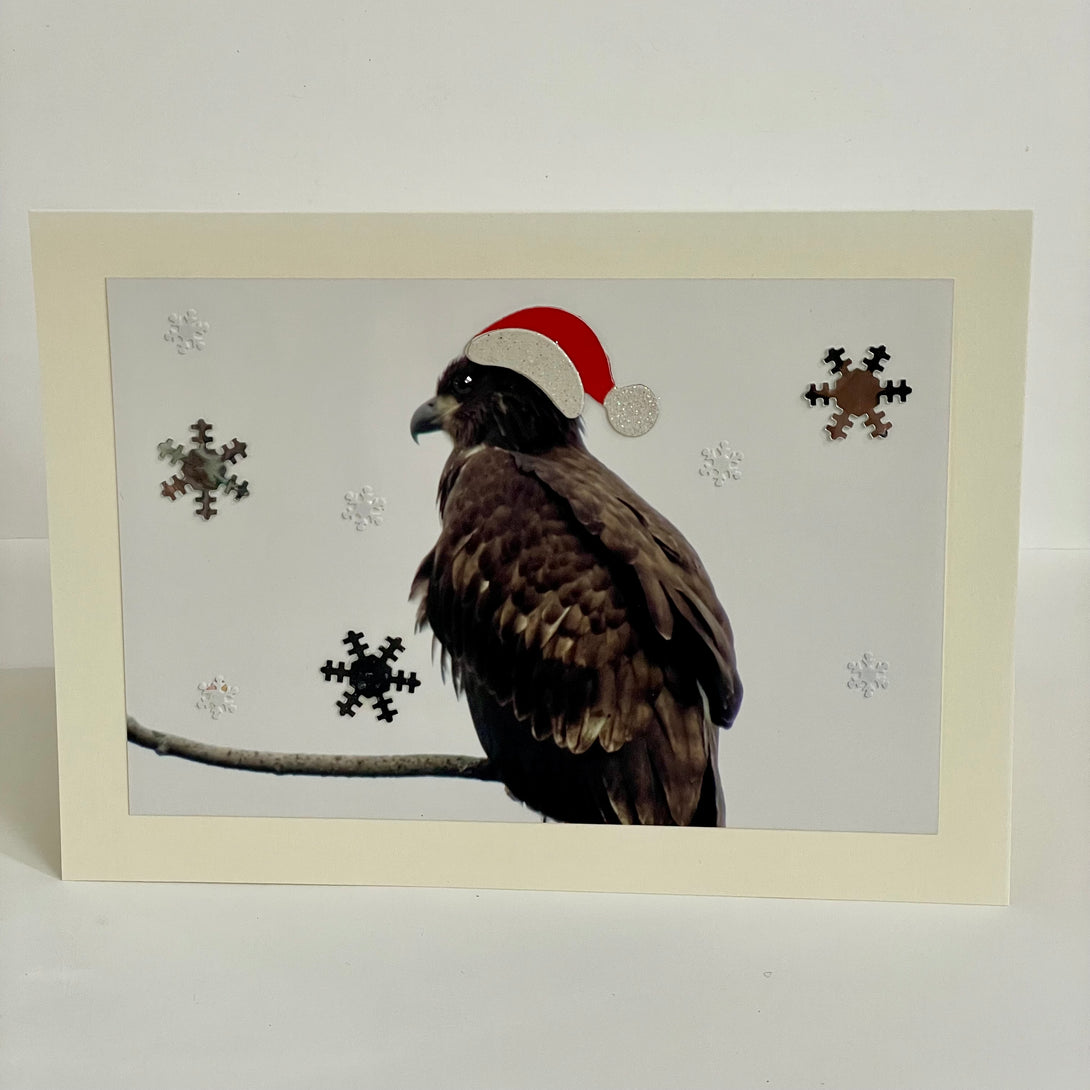 Jane Davidson - Christmas Card - Christmas Hawk