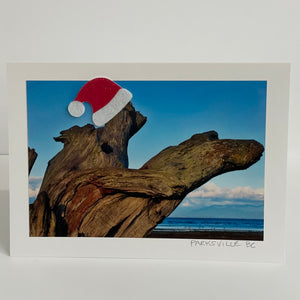 Jane Davidson - Christmas Card - Christmas Driftwood