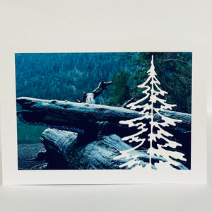 Jane Davidson - Christmas Card - White Christmas Tree