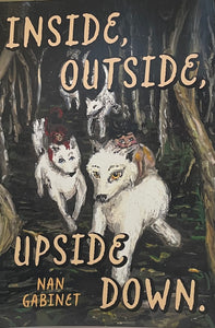 Nan Gabinet - Children's Book - "Inside, Outside, Upside & Down"