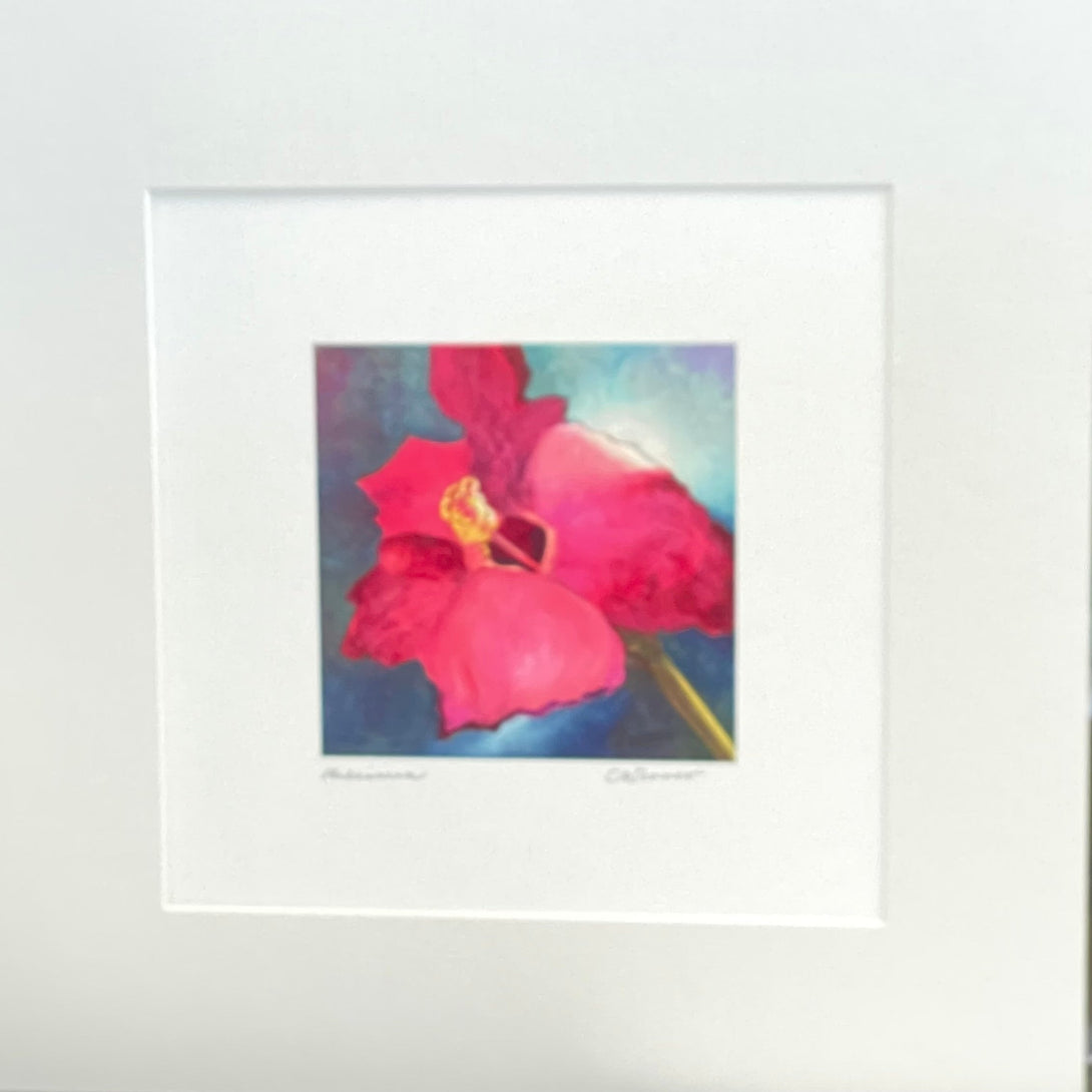 Carla Weaver - Print - Hibiscus -  - Print - McMillan Arts Centre & MAC Box Office