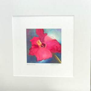 Carla Weaver - Print - Hibiscus -  - Print - McMillan Arts Centre & MAC Box Office