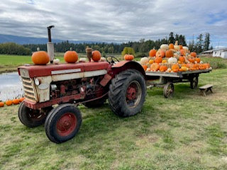 MAC School - Art Bites - Harvest Plein Air - Sep 23. 2024 - 10 AM - McMillan Arts Centre - McMillan Arts Centre Gallery, Gift Shop and Box Office - Vancouver Island Art Gallery