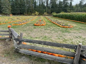 MAC School - Art Bites - Harvest Plein Air - Sep 23. 2024 - 10 AM - McMillan Arts Centre - McMillan Arts Centre Gallery, Gift Shop and Box Office - Vancouver Island Art Gallery