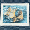 Beverly Simpson - Print- Family of Sea Lions - 14" x 11" Matted
