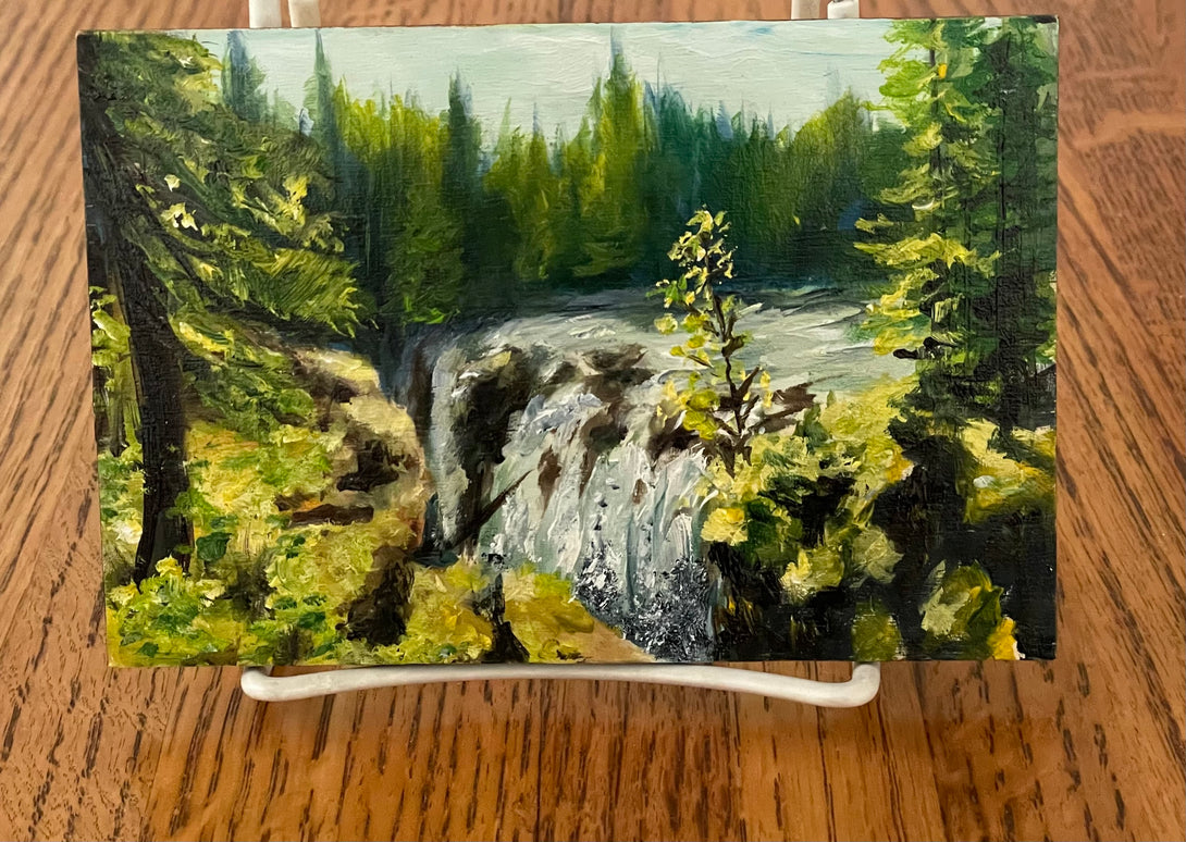 Margery Blom - Oil Painting - Englishman River Falls - 6