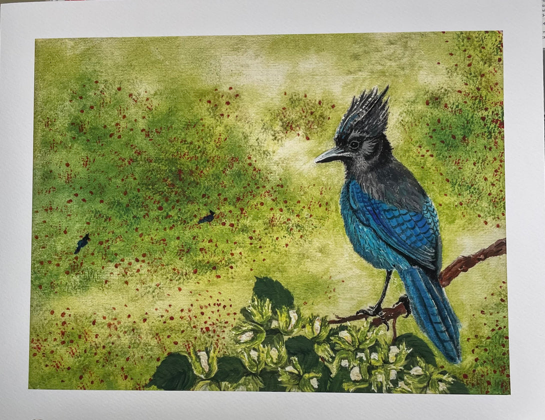 Julia Jenkins - Print - Blue Jay  (original painting by Twana MacArthur)  14