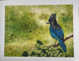 Julia Jenkins - Print - Blue Jay  (original painting by Twana MacArthur)  14" x 11"