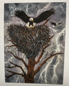 Julia Jenkins - Print - Eagle landing in nest (original painting by Twana MacArthur)  14" x 11"