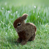Kate Beauregard - Felted Bunny - Dark Brown