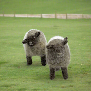 Kate Beauregard - Felted Sheep